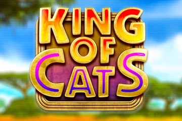 02579 king of cats