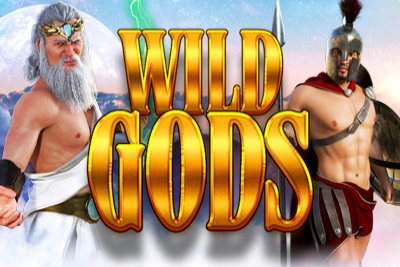 04800 wild gods