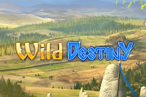 09153 wild destiny