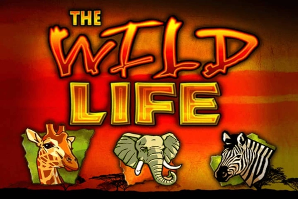 10595 the wild life