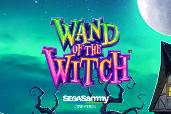20962 wand of the witch